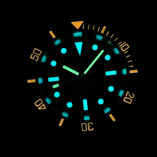 SteelDive 1954C D300