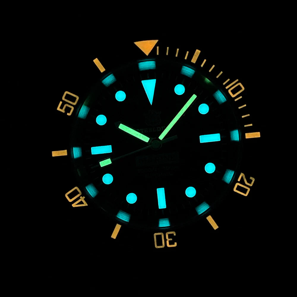 SteelDive 1954C D300