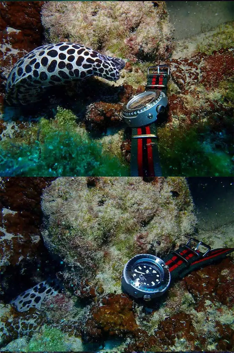 HEIMDALLR HMSX11 D1000 Black Gold