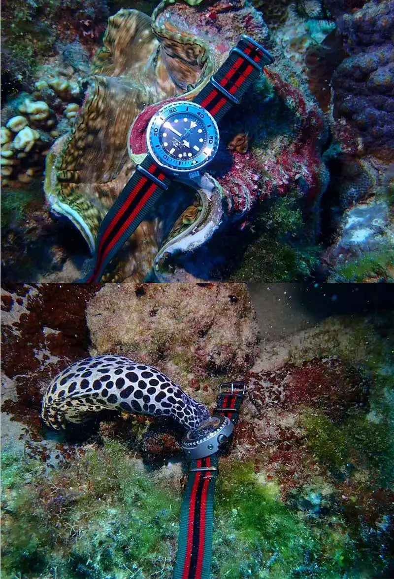 HEIMDALLR HMSX11 D1000 Black Gold